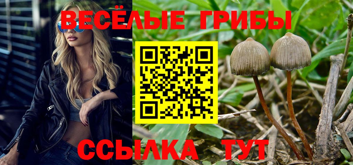 Псилоцибиновые грибы GOLDEN TEACHER  Вход с VPN  Донецк 