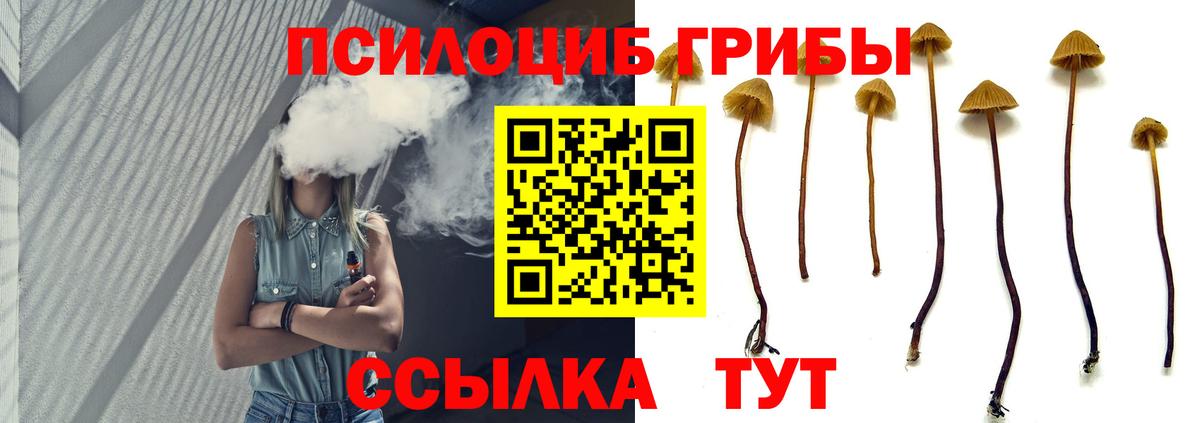 Галлюциногенные грибы прущие грибы Донецк